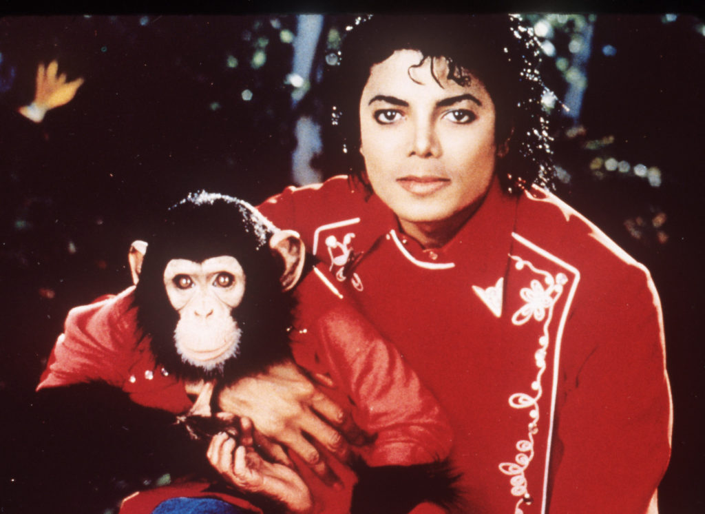 automatarkiverad **file** michael jackson is seen in this undated file photo with his pet chimp bubbles and a bulldog. (ap photo/file) an undated file photo. jackson bubbles michael jackson bubbles